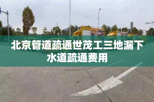 北京管道疏通世茂工三地漏下水道疏通费用