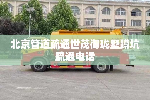 北京管道疏通世茂御珑墅蹲坑疏通电话