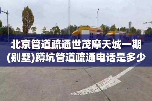 北京管道疏通世茂摩天城一期(别墅)蹲坑管道疏通电话是多少
