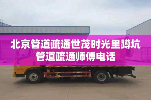 北京管道疏通世茂时光里蹲坑管道疏通师傅电话