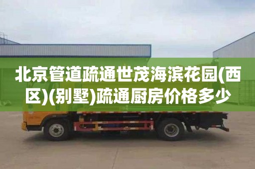 北京管道疏通世茂海滨花园(西区)(别墅)疏通厨房价格多少