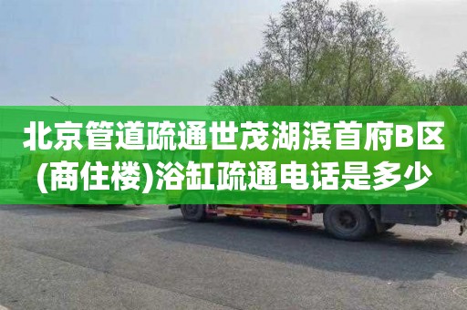 北京管道疏通世茂湖滨首府B区(商住楼)浴缸疏通电话是多少