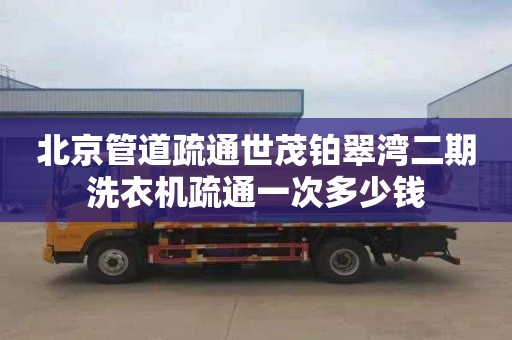 北京管道疏通世茂铂翠湾二期洗衣机疏通一次多少钱