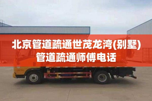 北京管道疏通世茂龙湾(别墅)管道疏通师傅电话