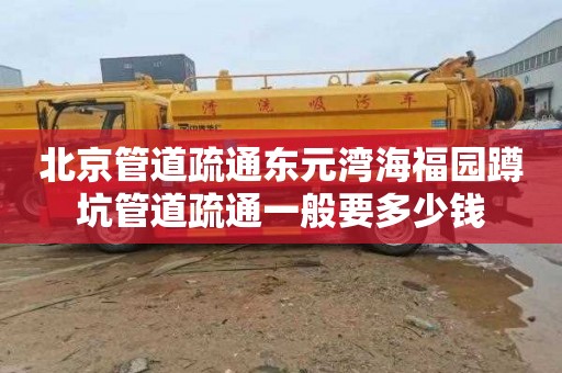 北京管道疏通东元湾海福园蹲坑管道疏通一般要多少钱