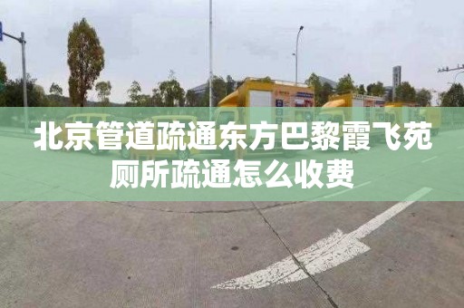 北京管道疏通东方巴黎霞飞苑厕所疏通怎么收费