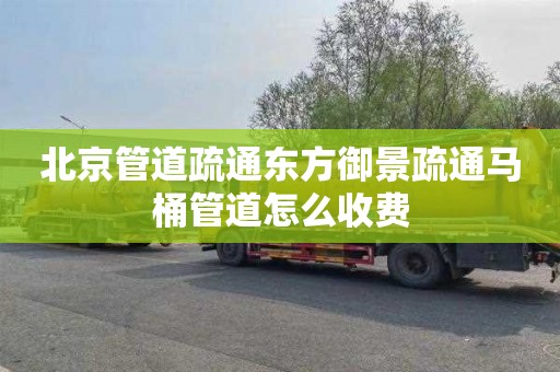北京管道疏通东方御景疏通马桶管道怎么收费