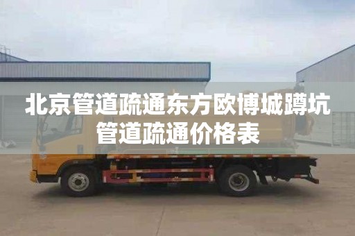 北京管道疏通东方欧博城蹲坑管道疏通价格表