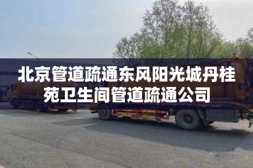 北京管道疏通东风阳光城丹桂苑卫生间管道疏通公司