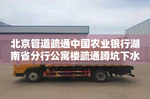 北京管道疏通中国农业银行湖南省分行公寓楼疏通蹲坑下水道怎么收费