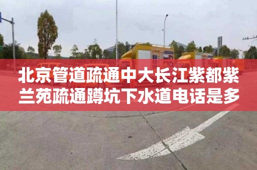 北京管道疏通中大长江紫都紫兰苑疏通蹲坑下水道电话是多少