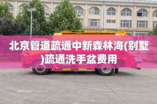 北京管道疏通中新森林海(别墅)疏通洗手盆费用
