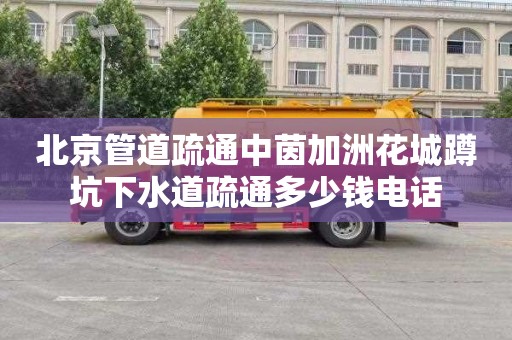北京管道疏通中茵加洲花城蹲坑下水道疏通多少钱电话