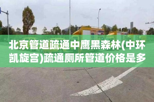 北京管道疏通中鹰黑森林(中环凯旋宫)疏通厕所管道价格是多少
