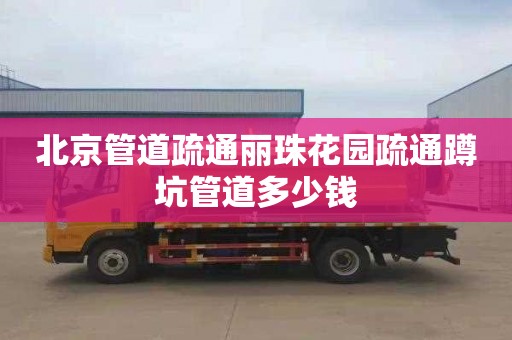北京管道疏通丽珠花园疏通蹲坑管道多少钱