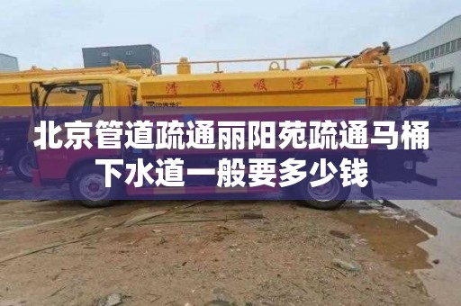 北京管道疏通丽阳苑疏通马桶下水道一般要多少钱