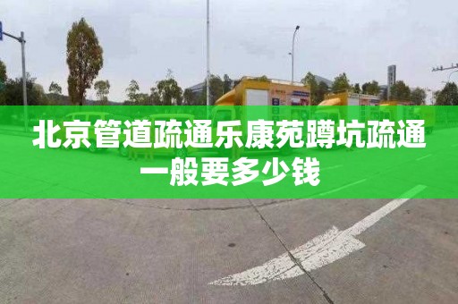 北京管道疏通乐康苑蹲坑疏通一般要多少钱