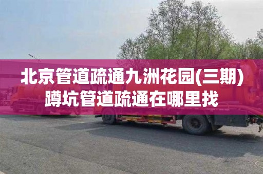 北京管道疏通九洲花园(三期)蹲坑管道疏通在哪里找