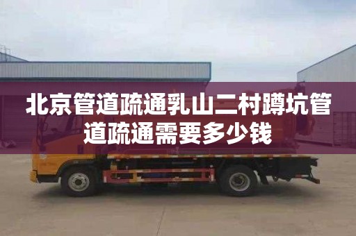 北京管道疏通乳山二村蹲坑管道疏通需要多少钱