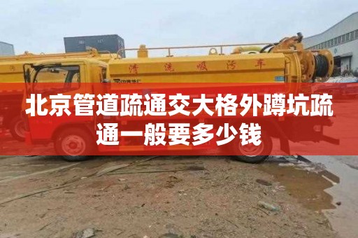 北京管道疏通交大格外蹲坑疏通一般要多少钱