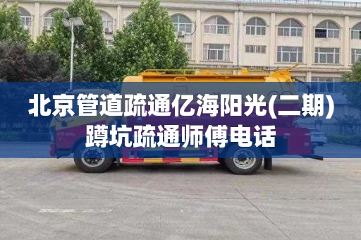 北京管道疏通亿海阳光(二期)蹲坑疏通师傅电话