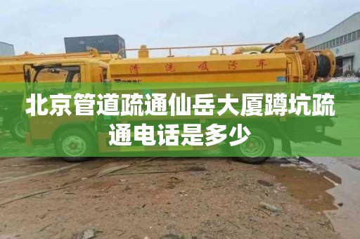 北京管道疏通仙岳大厦蹲坑疏通电话是多少