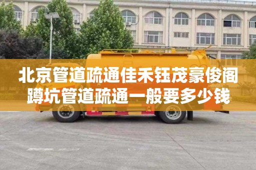 北京管道疏通佳禾钰茂豪俊阁蹲坑管道疏通一般要多少钱