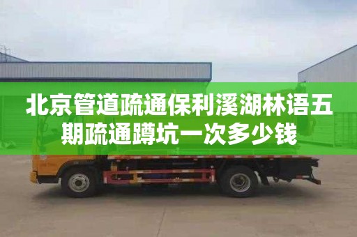 北京管道疏通保利溪湖林语五期疏通蹲坑一次多少钱