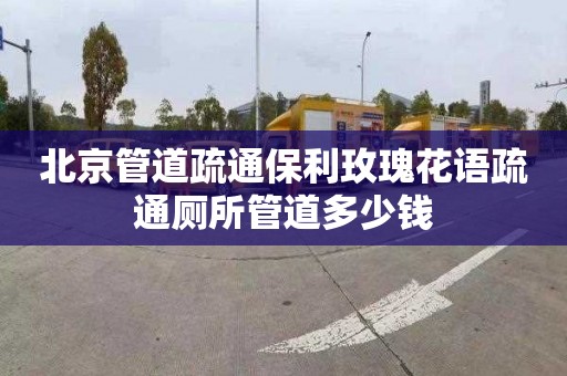北京管道疏通保利玫瑰花语疏通厕所管道多少钱