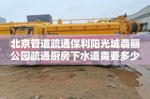 北京管道疏通保利阳光城翡丽公园疏通厨房下水道需要多少钱
