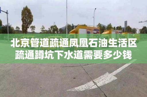北京管道疏通凤凰石油生活区疏通蹲坑下水道需要多少钱