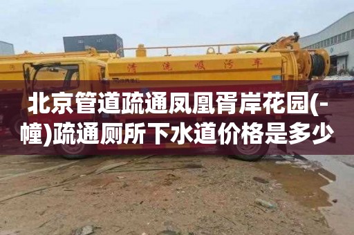 北京管道疏通凤凰胥岸花园(-幢)疏通厕所下水道价格是多少