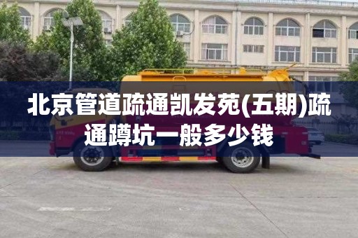 北京管道疏通凯发苑(五期)疏通蹲坑一般多少钱