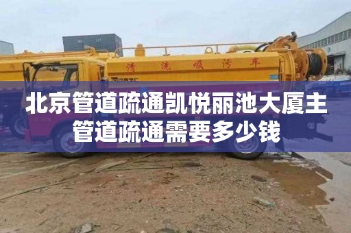 北京管道疏通凯悦丽池大厦主管道疏通需要多少钱