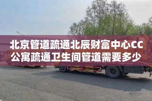 北京管道疏通北辰财富中心CC公寓疏通卫生间管道需要多少钱