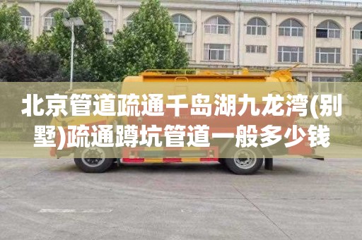 北京管道疏通千岛湖九龙湾(别墅)疏通蹲坑管道一般多少钱