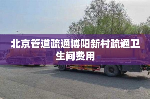 北京管道疏通博阳新村疏通卫生间费用