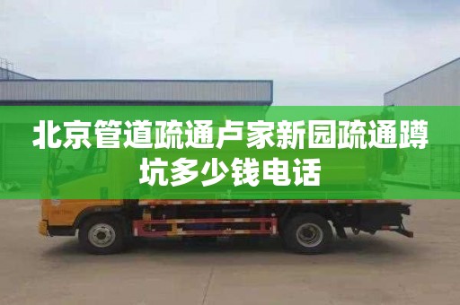 北京管道疏通卢家新园疏通蹲坑多少钱电话