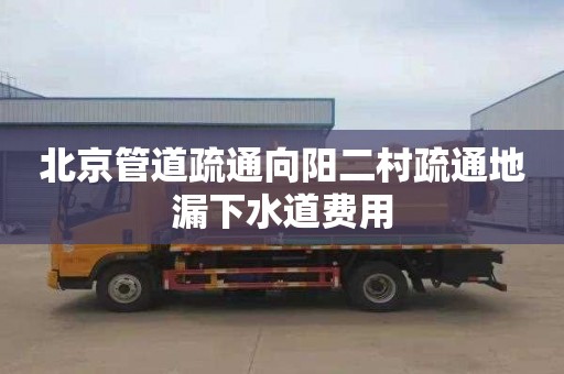 北京管道疏通向阳二村疏通地漏下水道费用