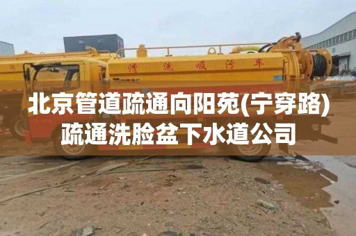 北京管道疏通向阳苑(宁穿路)疏通洗脸盆下水道公司