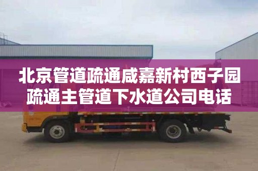 北京管道疏通咸嘉新村西子园疏通主管道下水道公司电话