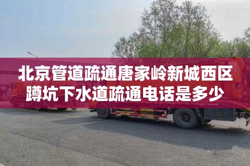 北京管道疏通唐家岭新城西区蹲坑下水道疏通电话是多少