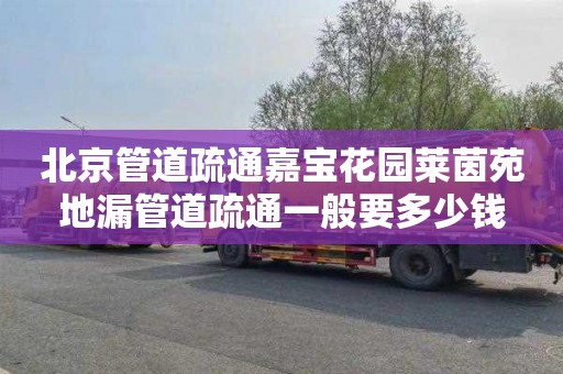 北京管道疏通嘉宝花园莱茵苑地漏管道疏通一般要多少钱