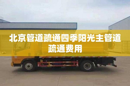 北京管道疏通四季阳光主管道疏通费用