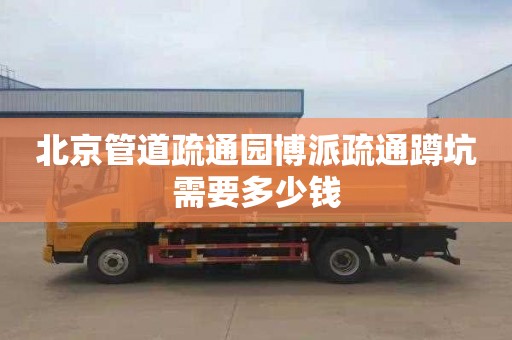 北京管道疏通园博派疏通蹲坑需要多少钱