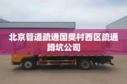 北京管道疏通国奥村西区疏通蹲坑公司