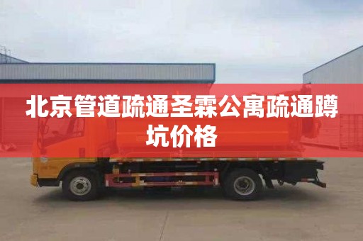 北京管道疏通圣霖公寓疏通蹲坑价格