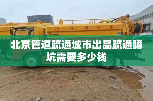 北京管道疏通城市出品疏通蹲坑需要多少钱