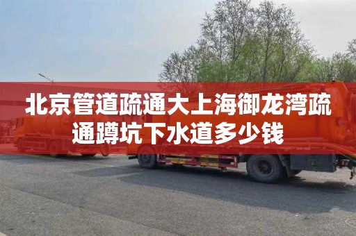 北京管道疏通大上海御龙湾疏通蹲坑下水道多少钱