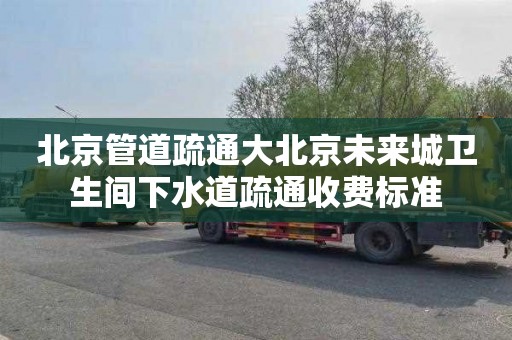 北京管道疏通大北京未来城卫生间下水道疏通收费标准